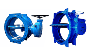 Double Eccentric Butterfly Valves Manufacturer