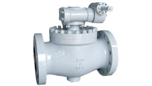 Top Entry Ball Valve Supplier in Bangalore