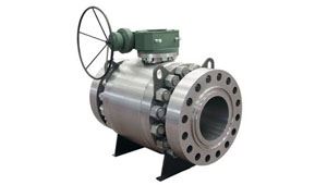 Trunnion Mounted Valves Manufacturer in Panipat