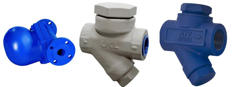 Steam Trap Valves Manufacturers in India