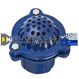 Foot Valves Supplier in India